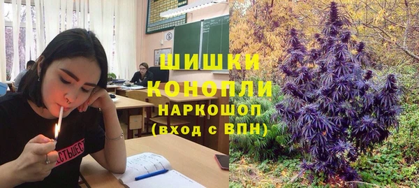 spice Абаза
