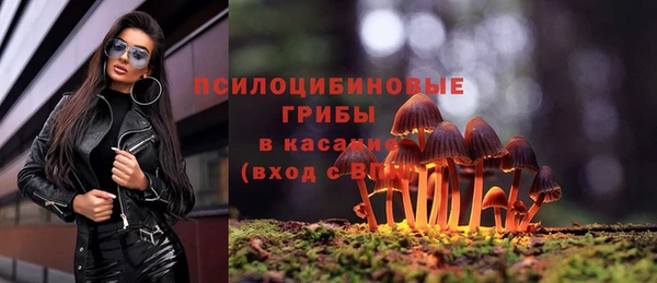 прущая мука Абинск